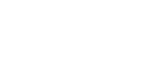 NN-Logo-white